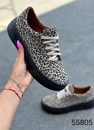 Кросівки натуральна замша замш замшеві жіночі леопардові леопардовий принт лео на шнурівці висока підошва платформа кроси кросовки кеди