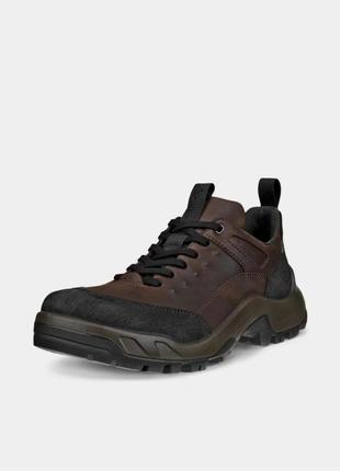 Ecco fraser gtx hotsell