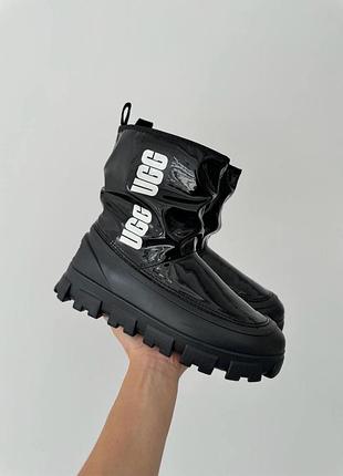 Жіночі зимові угги ugg classic brellah mini boot black