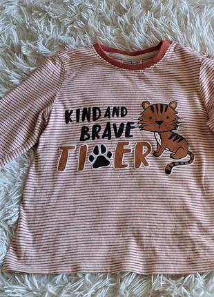 Реглан, кофта с тигриком