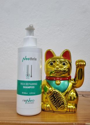 Комплексный восстанавливающий шампунь rich repairing shampoo derma series