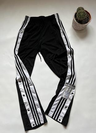 Жіночі штани адідас на закльопках adidas