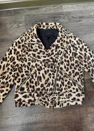 Леопардова косуха zara