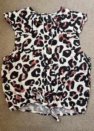 Леопардовая блуза с воротничком