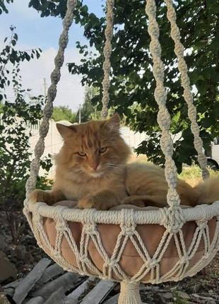 Гамак для котика