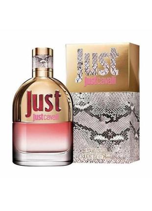 Roberto cavalli