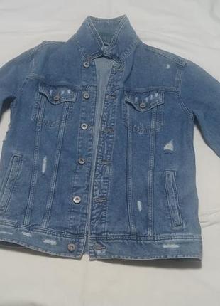 Джинсова котонка