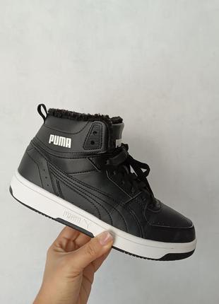 Зимові чоловічі хайтопи puma