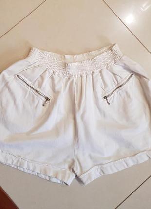 Шорты  the polo