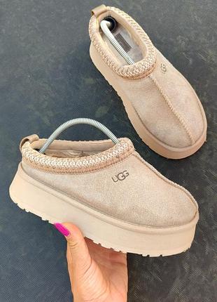 Шикарные замшевые ugg tazz