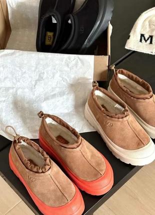 Женские зимние ugg кольору tasman weather мини chestnut