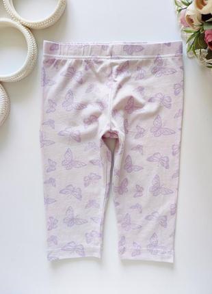 Бриджі в метеликах  артикул: 20025