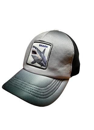 Кепка shark