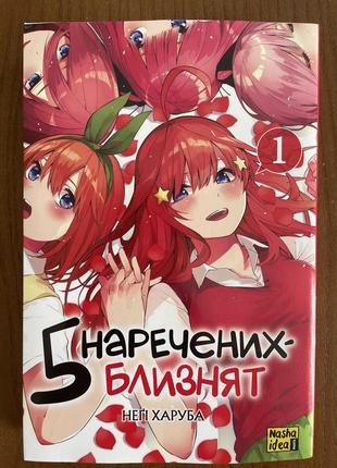 Книга 5 наречених близнят негідник харуба