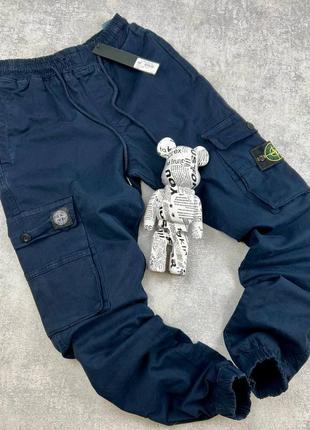 Брюки карго stone island