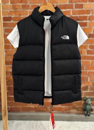 Чоловічий жилет the north face