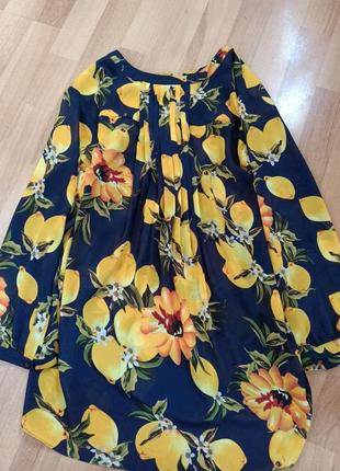 Блуза sh/collection 5