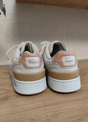 Женские кожаные кроссовки Piqué lacoste t-clip
оригинал4 фото
