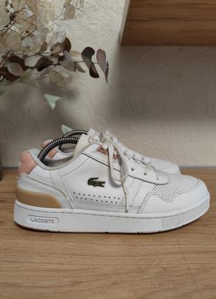 Жіночі шкіряні кросівки lacoste t-clip
оригінал