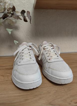 Женские кожаные кроссовки Piqué lacoste t-clip
оригинал3 фото