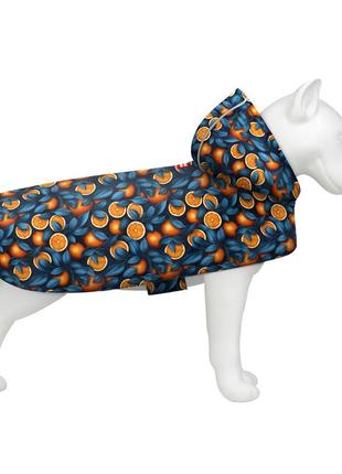 Дощовик-накидка з капюшоном для собак waudog clothes, малюнок "апельсини", xs, а 26-29 см, b 32-41 см, с 21-26
