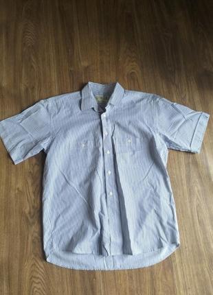 Чоловіча сорочка