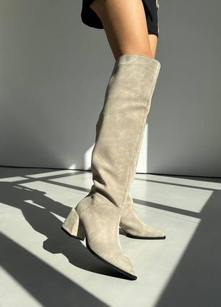 Високі чоботи сапоги