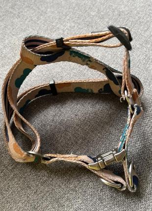 Шлейка для собак