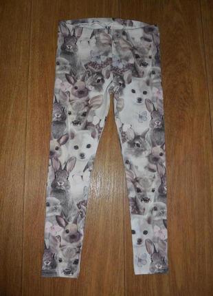 Лосины h&amp;m c кроликами, котон- стрейч, 3-4 года (104 см)
