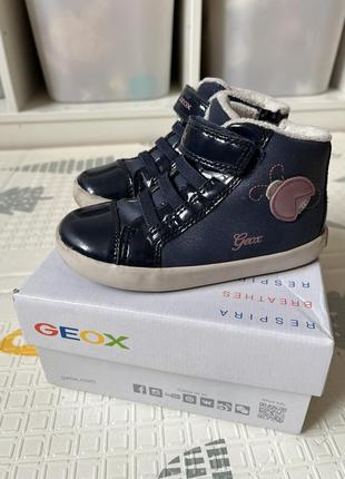 Осенние ботинки для девочки geox 25 размер