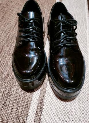 Лофери primadonna collection