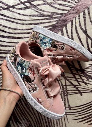 puma