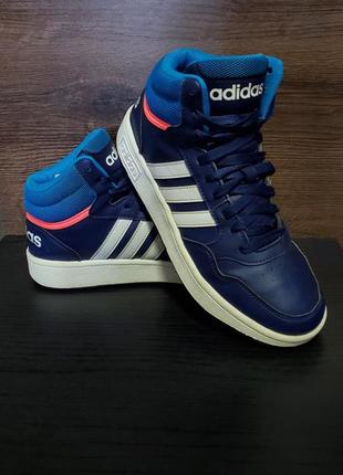 Високі кросівки adidas hoops