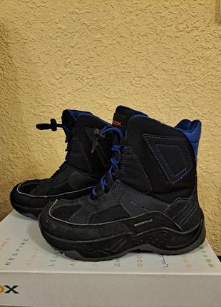 Зимові сапожки geox
