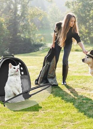 Рюкзак-переноска (прозрачный и водонепроницаемый) для кошек и собак до 7 кг, rx-700 черный2 фото