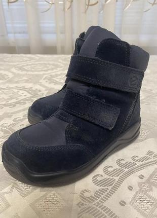 Детские зимние ботинки ecco