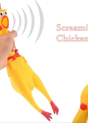 Божевільна кричуща курка