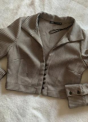 Пиджак короткий zara