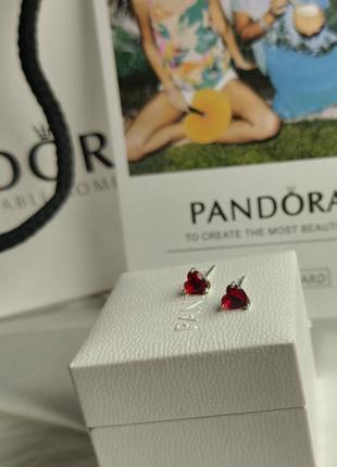 Серебряные серьги в стиле pandora