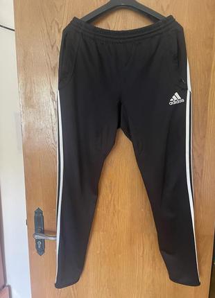 Технологические спортивные штаны adidas climacool