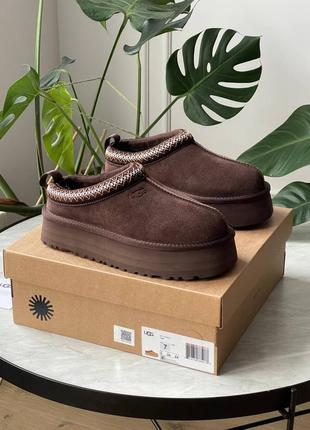 Женские угги ugg tasman platform chocolate