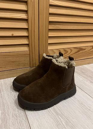 Сапоги zara 24 p