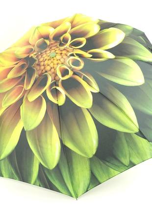 Жіноча складна парасолька напівавтомат з квітковим принтом від фірми toprain та системою антивітер