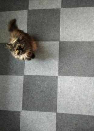 Самоклеюча плитка під ковролін темно-сіра 300х300х4,5мм sw-00001420