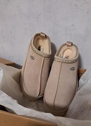 Сабо, угги ugg tazz