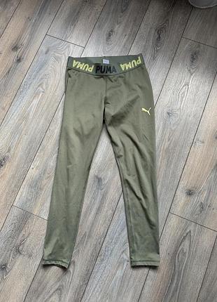 Лосіни puma