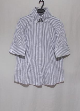 Сорочка смугаста біло-сіра 'alexander mcqueen' 48-50р