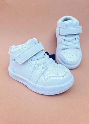 Красивые хайтопы apawwa