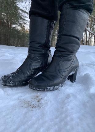 Сапоги женские
