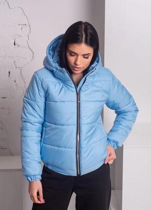 Куртка жіноча демісезонна лаке р. 42-52 (моко)